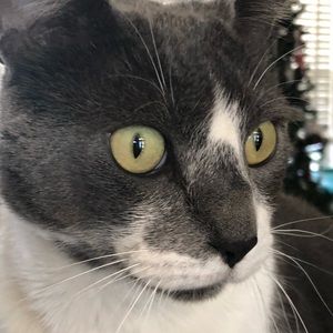 Meet your Posher, Denise